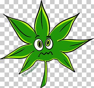 Cannabis Sativa Marijuana Hemp Png, Clipart, Cannabis, Cannabis Leaves 