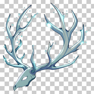Antler - Illustrated Antlers With Skull PNG