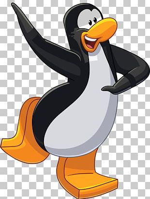 Bird Cartoon png download - 1482*1677 - Free Transparent Club Penguin png  Download. - CleanPNG / KissPNG