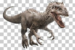 Tyrannosaurus Dinosaur Spinosaurus Giganotosaurus Velociraptor PNG ...