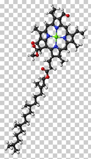 Chlorophyll A Chlorophyll B Structure Photosynthesis PNG, Clipart ...