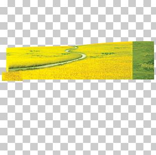 Yellow Grass PNG Images, Yellow Grass Clipart Free Download