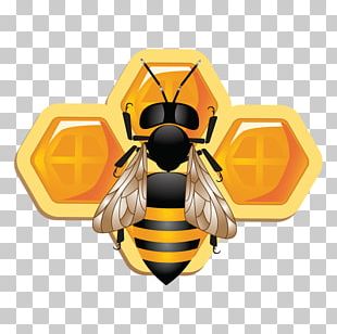 Honey Bee Beehive Illustration PNG