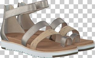 Sandal Footwear Shoe Slide PNG