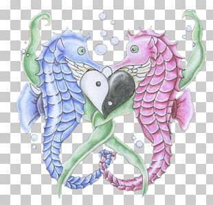 Seahorse Pipefishes And Allies Logo PNG