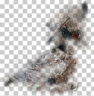 Winter Storm Snow Blizzard Frost PNG