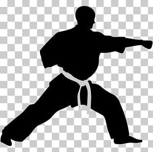 Karate Martial Arts Sport Taekwondo Silhouette PNG, Clipart, Angle, Arm ...