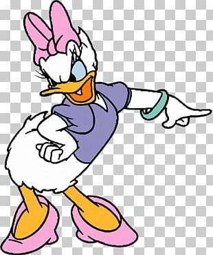 Daisy Duck Donald Duck Daffy Duck Plucky Duck PNG, Clipart, Animals ...