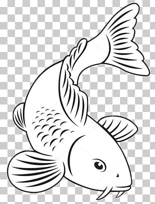 Koi Goldfish Carp fishing, food, seafood png