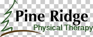 Tree Organization Roman Catholic Diocese Of Springfieldâ€“Cape Girardeau Business Maple Ridge Dental Care PNG