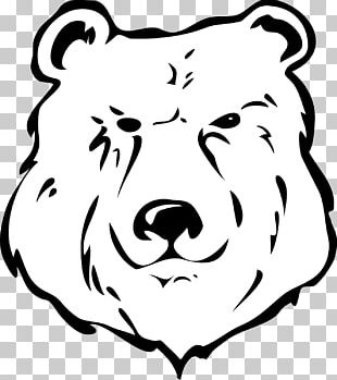 Polar Bear Giant Panda Grizzly Bear Brown Bear PNG, Clipart, Animals ...