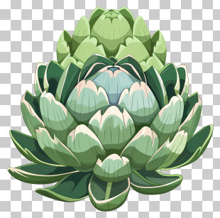 Artichoke - Green Artichoke Illustration PNG