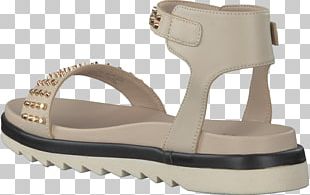 Sandal Shoe PNG