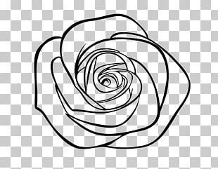 Drawing Rose PNG