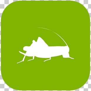 Leaf Logo Grass PNG