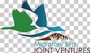 Bird Migration Bird Conservation Joint Venture Logo PNG