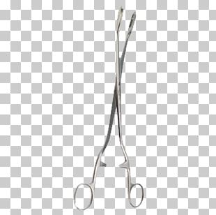 Tweezers Productos Hospitalarios Scissors Surgery PNG