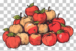Pile Of Apples - Pile Of Apples Illustration PNG