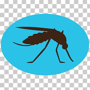 Mosquito Insect PNG