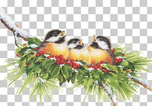 Christmas Ornament Beak Branching PNG