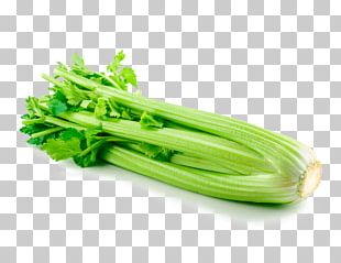 Organic Food Celeriac Vegetable PNG