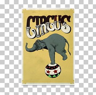 Paper Poster Quadro Art Printing PNG