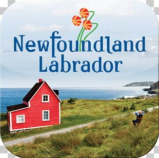 St. John's Labrador Retriever Travel Provinces And Territories Of Canada PNG