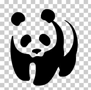 Giant Panda Bear Logo Decal PNG, Clipart, Animals, Artwork, Bear, Black ...