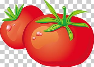 Vegetable Zakuski Tomato Fruit PNG