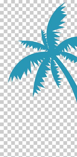 Arecaceae Coconut Water PNG