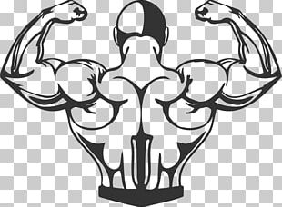 Bodybuilding Muscle Biceps PNG, Clipart, Abdomen, Arm, Bodybuilder ...