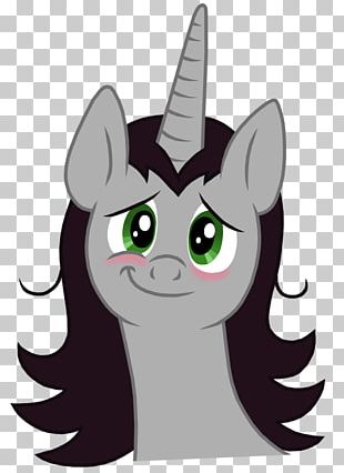 Whiskers Cat Horse PNG