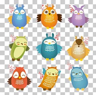 Owl PNG