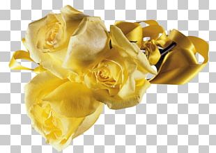 Flower PNG