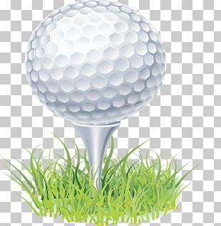 Miniature Golf Golf Course PNG, Clipart, Area, Background, Ball, Blog ...