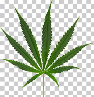 105 Free Download Weed Tattoo Png HD Tattoo Photos