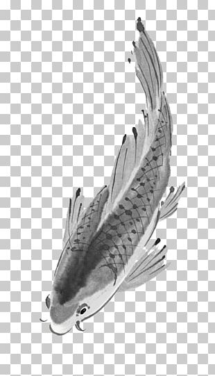 Koi Ink Wash Painting PNG