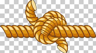 Rope Knot PNG, Clipart, Cartoon Rope, Download, Freemake Video ...