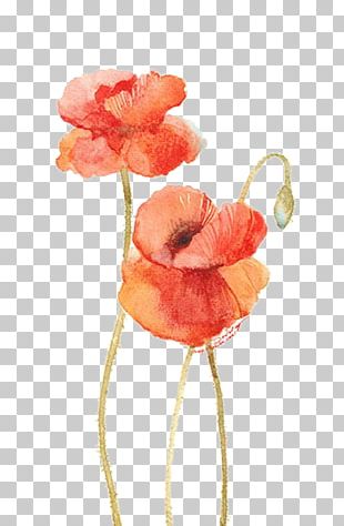 Flower Floral Design Poppy PNG, Clipart, Flora, Floristry, Flower ...