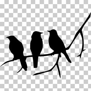 Bird Silhouette PNG, Clipart, Beak, Bird, Bird Flight, Black And White ...