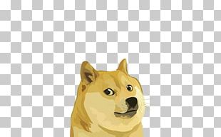 Shiba Inu Dogecoin PNG, Clipart, Canaan Dog, Carnivoran, Companion Dog ...