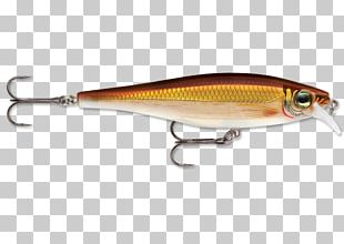 Plug Rapala Fishing Baits & Lures Angling Surface Lure PNG