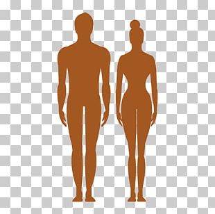 Body Png Picture - Female Body Vector Png, Transparent Png