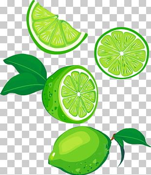 green lemon slices png images green lemon slices clipart free download green lemon slices png images green