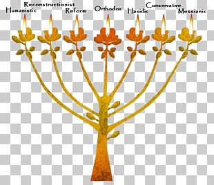 Psalms Bible Christianity And Judaism Religion PNG