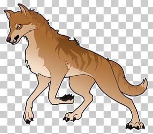 Fox Jackal Fennec Fox Red Fox Swift Fox PNG, Clipart, Fennec Fox, Fox ...