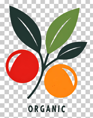 Organic Food Logo - Organic Logo With Leaves And Berries PNG