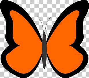 Butterfly Drawing PNG