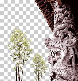 Column Data Computer File PNG