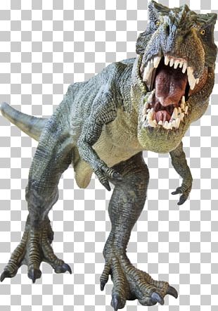 Tyrannosaurus Rex Baryonyx Dinosaur PNG, Clipart, 123rf, Banco De ...